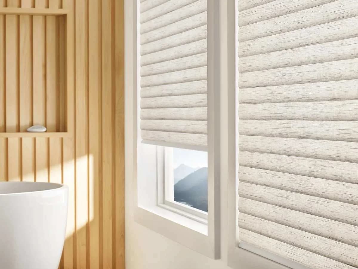 Master Bedroom Blackout Shades