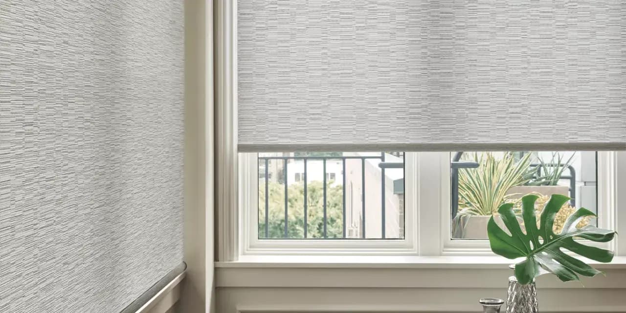 Balcony Window Living Room Roller Shades in Shawnee