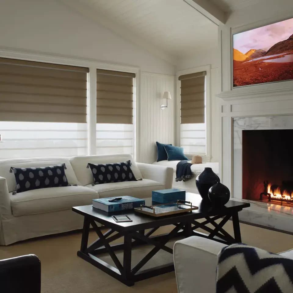 Impressive Subtle Texture Living Room Roman Shades in Merriam