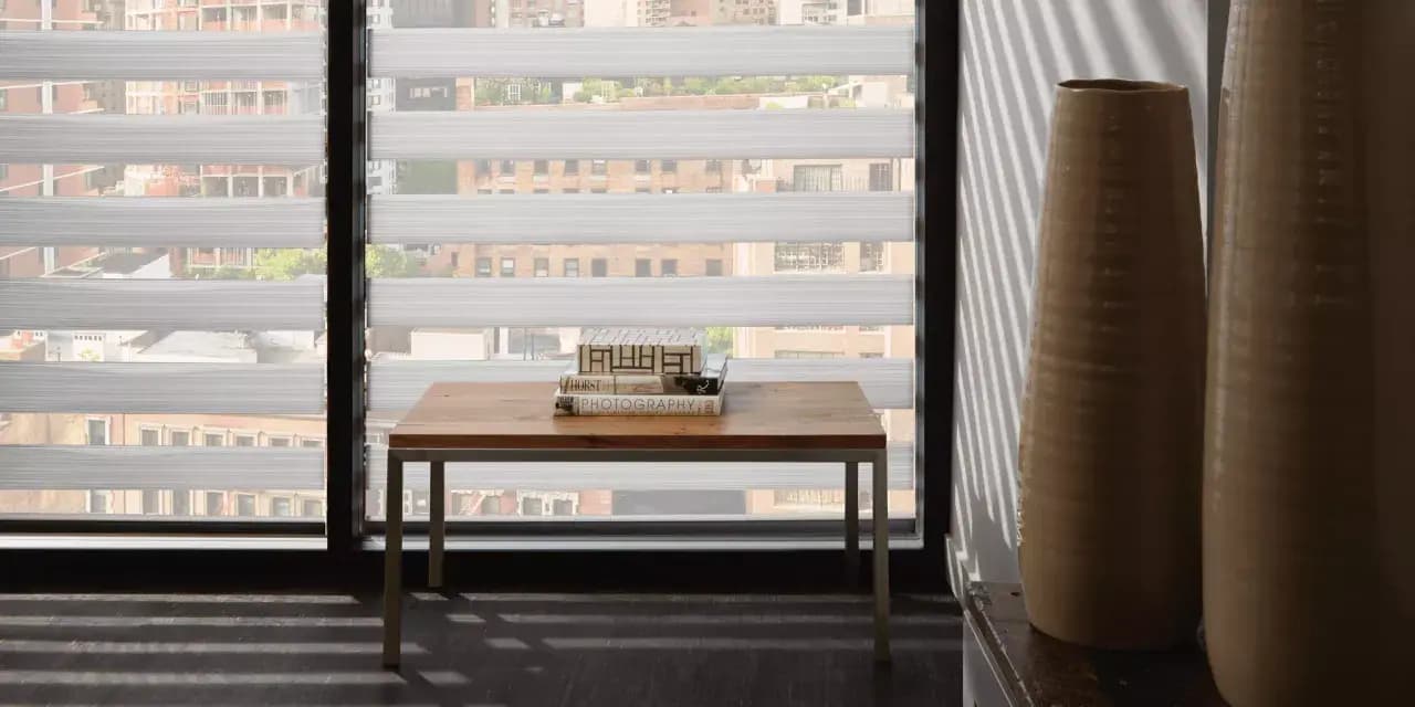 Modern Living Room High Rise View Zebra Shades in Lenexa
