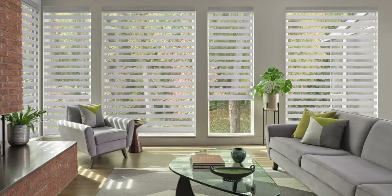 Contemporary Living Room with Recliner Zebra Shades in Mission Hills