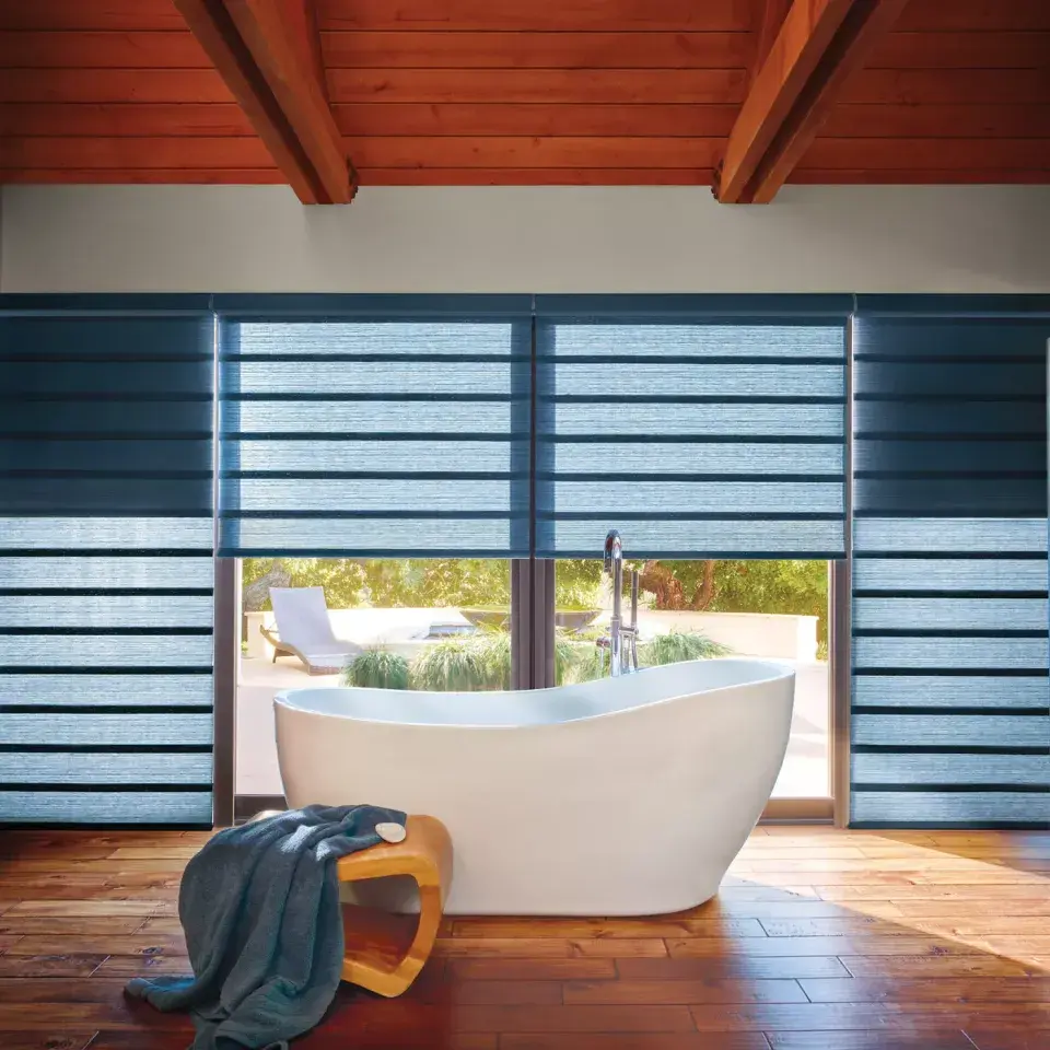 Modern Bathroom with Backyard View Roman Shades in De Soto