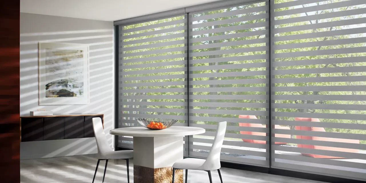 Living Room Feature Zebra Shades