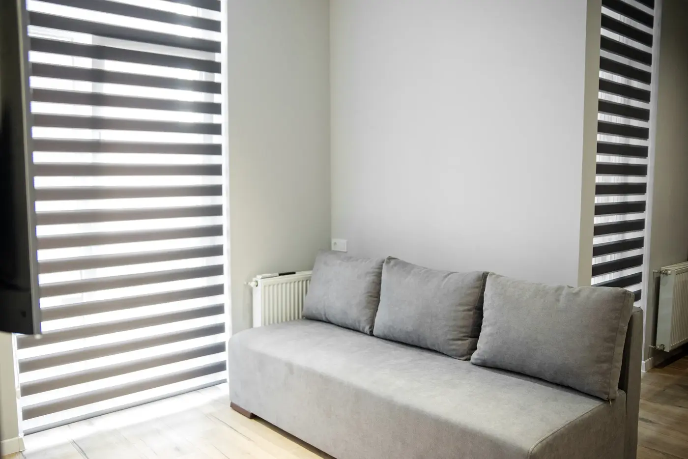 Gray Sofa with Oversized Window Zebra Shades in Liberty